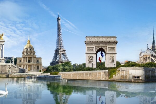 A white dove in the water against the background of the city and the Eiffel Tower