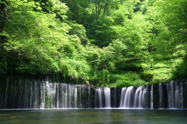 Ein luxuriöser Wasserfall, der vom Grün der Bäume umgeben ist