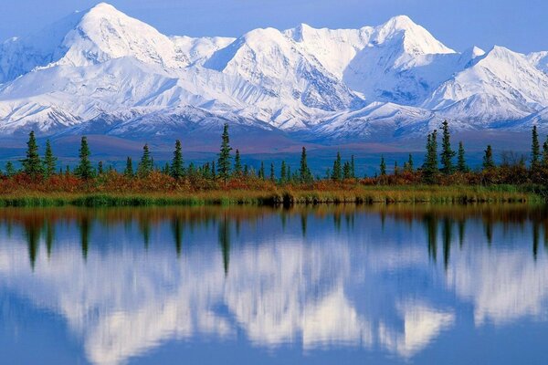 Reflejo de montañas nevadas y árboles