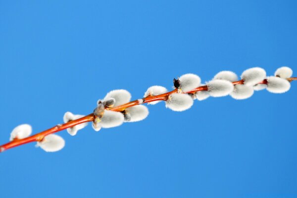 Siamo stati all Aperto in estate seduti vicino a un albero il cielo era perfetto, il sole splende