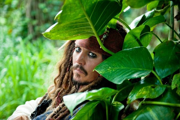 Capitaine Jack Sparrow dans le feuillage