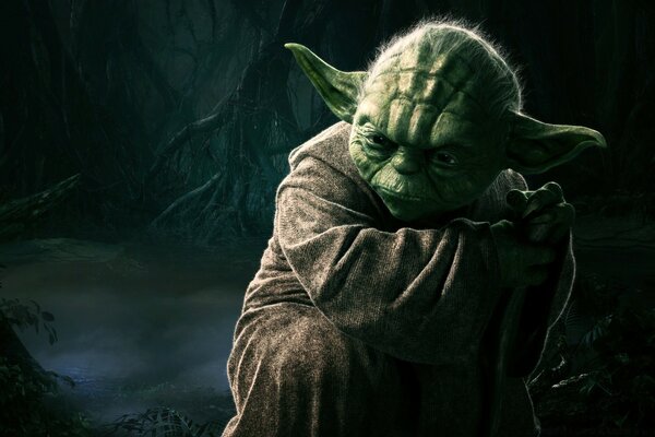 Retrato del maestro Yoda de los guerreros estrella