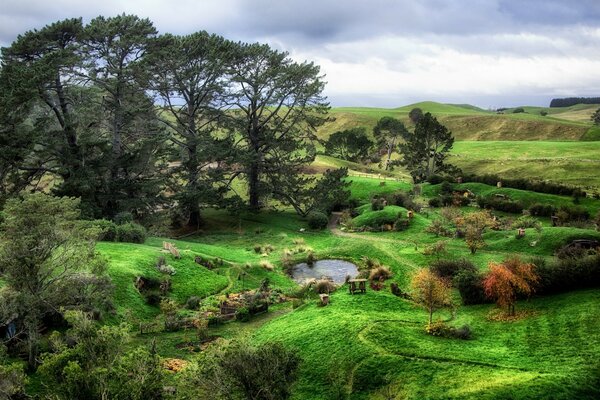 Piccolo stagno sulla natura verde