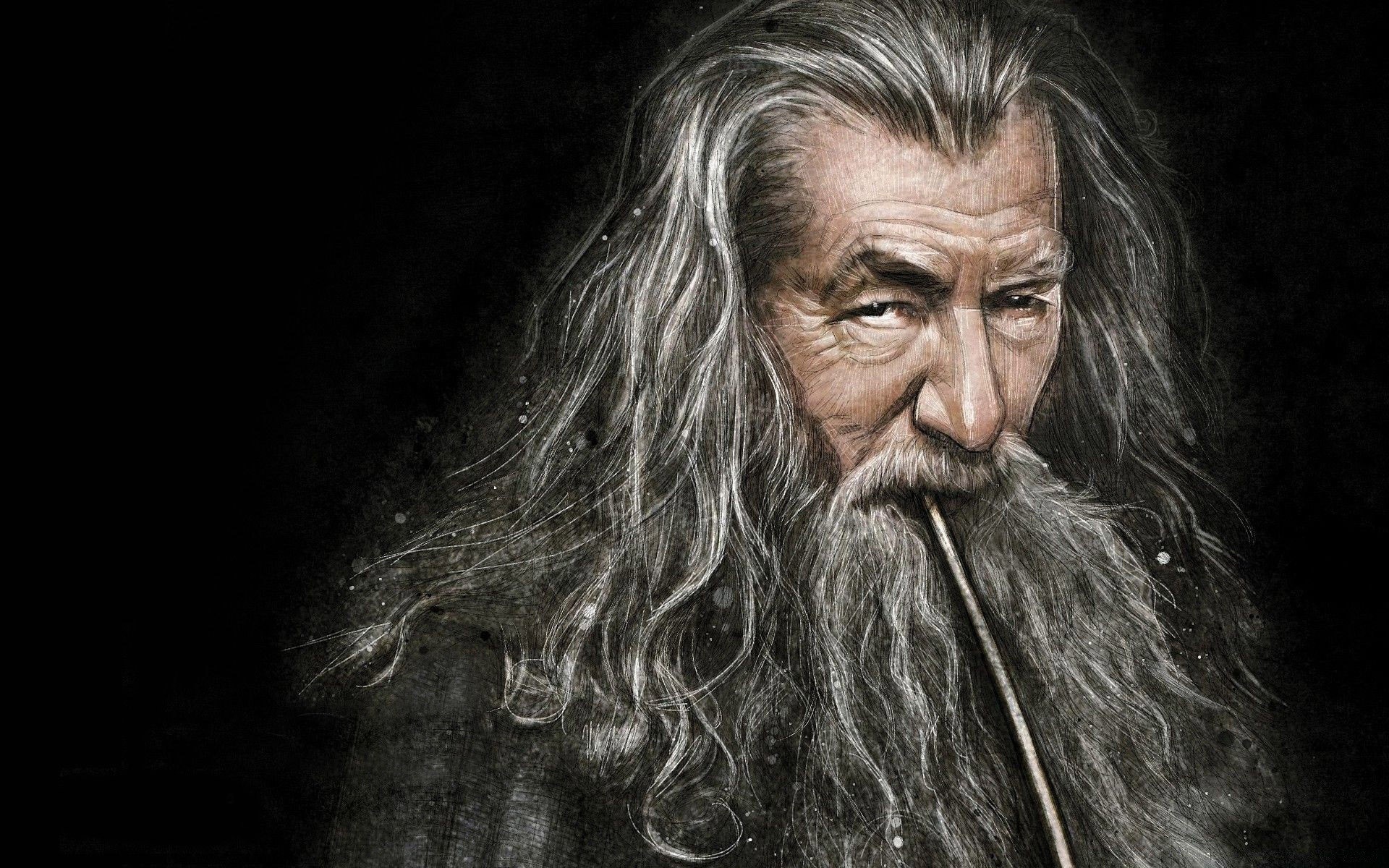 the hobbit portrait one adult man art