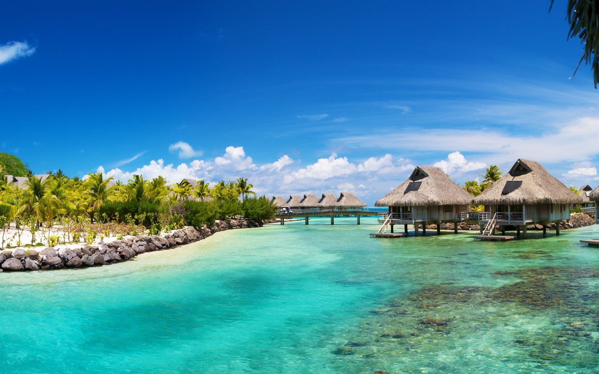 mer et océan tropical eau station île voyage exotique idylle turquoise plage mer paradis vacances détente océan été sable hôtel palm lagon bungalow