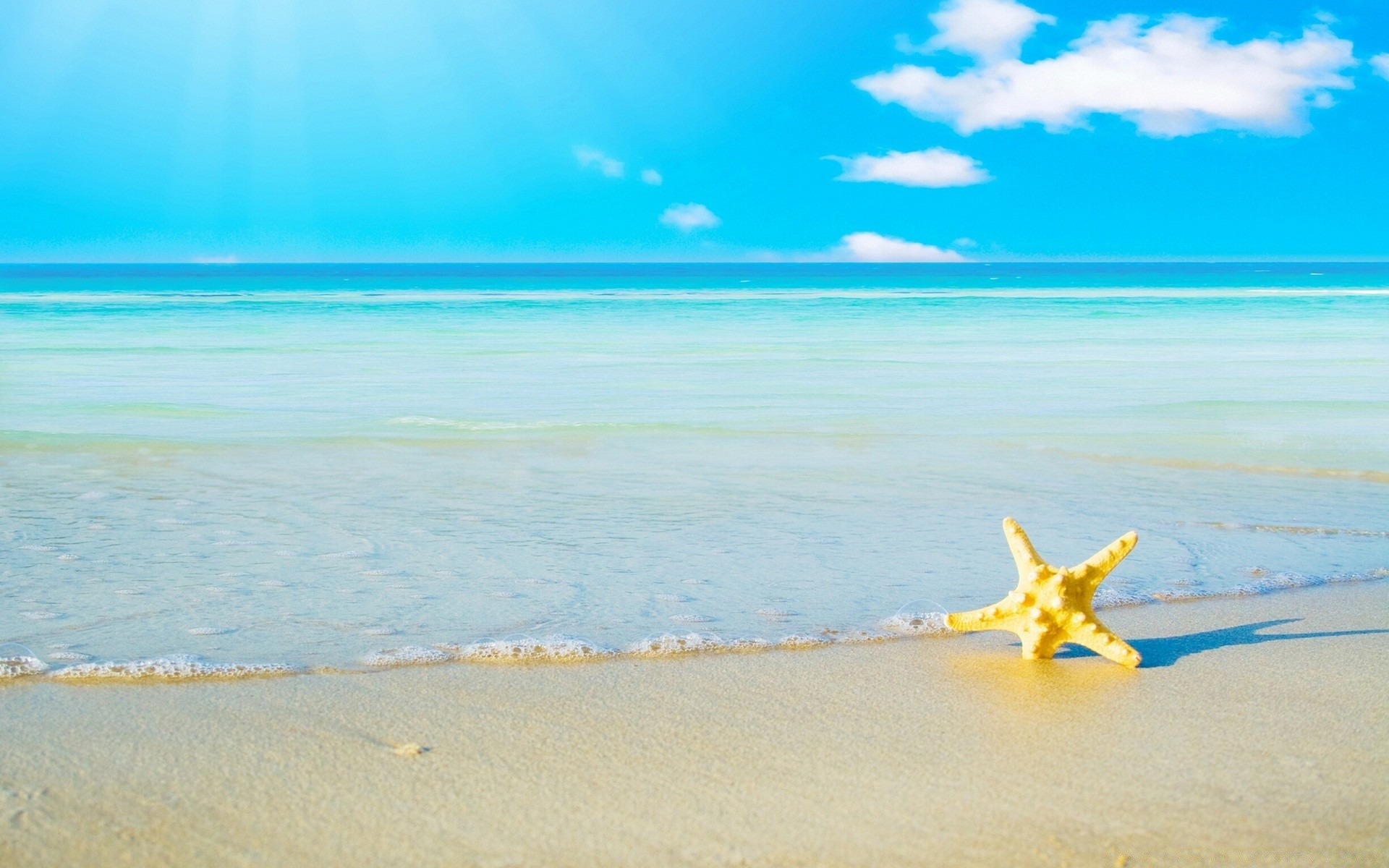 mer et océan plage sable eau mer mer voyage océan été surf vacances tropical ciel île paysage soleil beau temps étoile de mer paysage vague