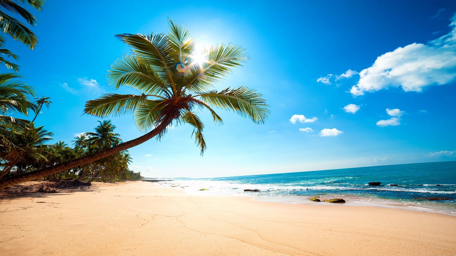 mer et océan sable tropical plage mer océan été paysage idylle soleil vacances voyage paradis eau île exotique station balnéaire détente surf mer rivage