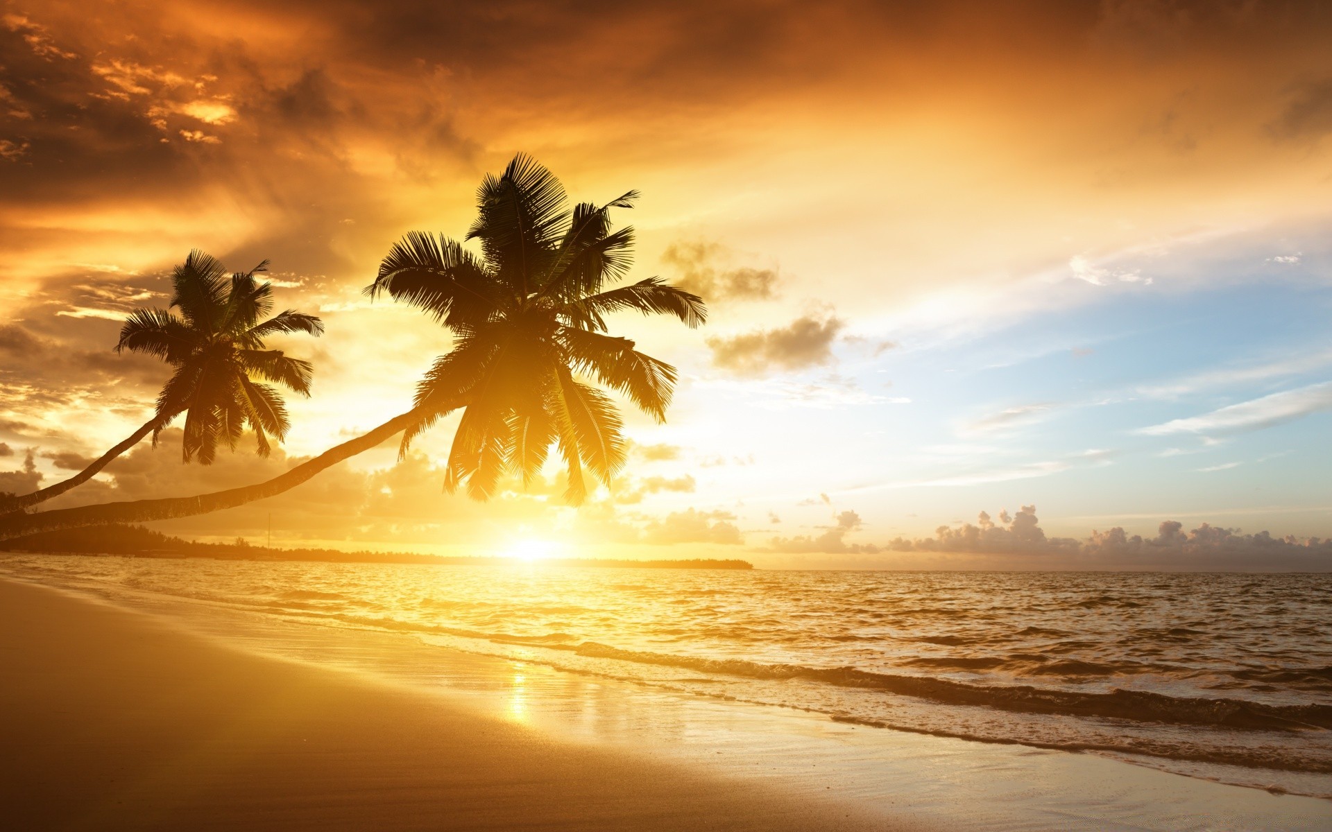 mer et océan coucher de soleil plage soleil aube sable eau océan paysage tropical crépuscule mer mer soir beau temps été ciel silhouette surf nature