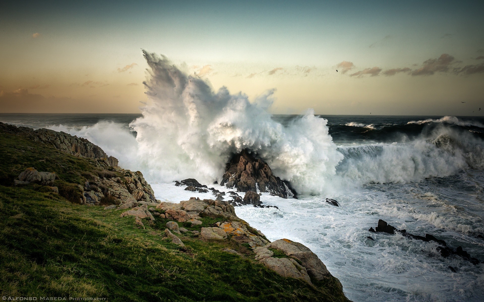 sea and ocean water landscape sunset fog dawn travel ocean seashore sky sea beach mist nature rock