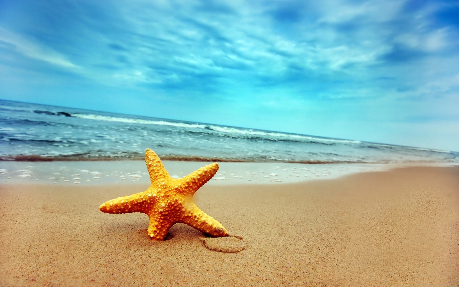 sea and ocean beach sand starfish seashore sea ocean summer water tropical travel vacation shore surf sun wave island nature seashell seascape