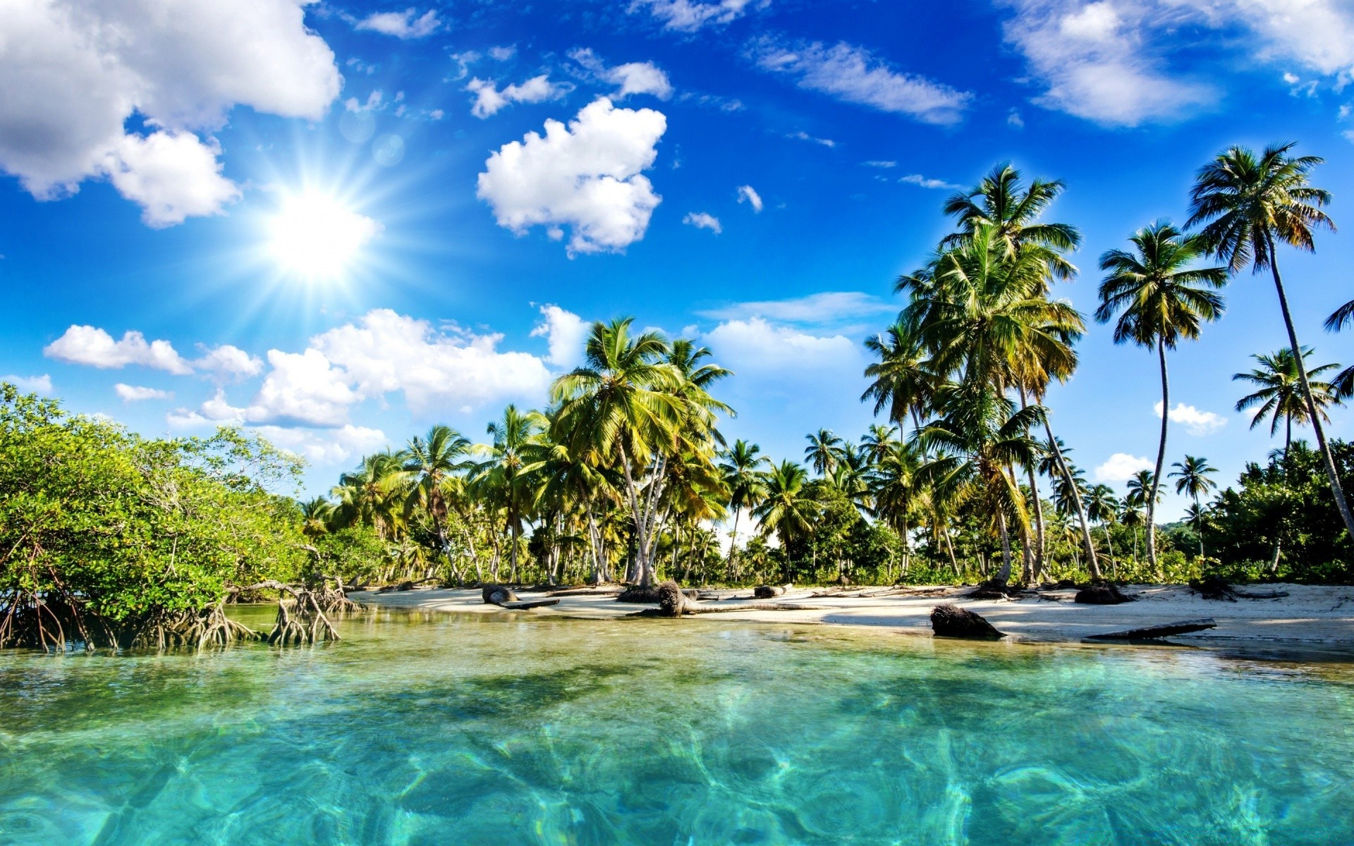 mer et océan tropical paradis palmiers exotique plage île station balnéaire été noix de coco vacances sable soleil eau idylle lagon océan détente voyage turquoise paysage