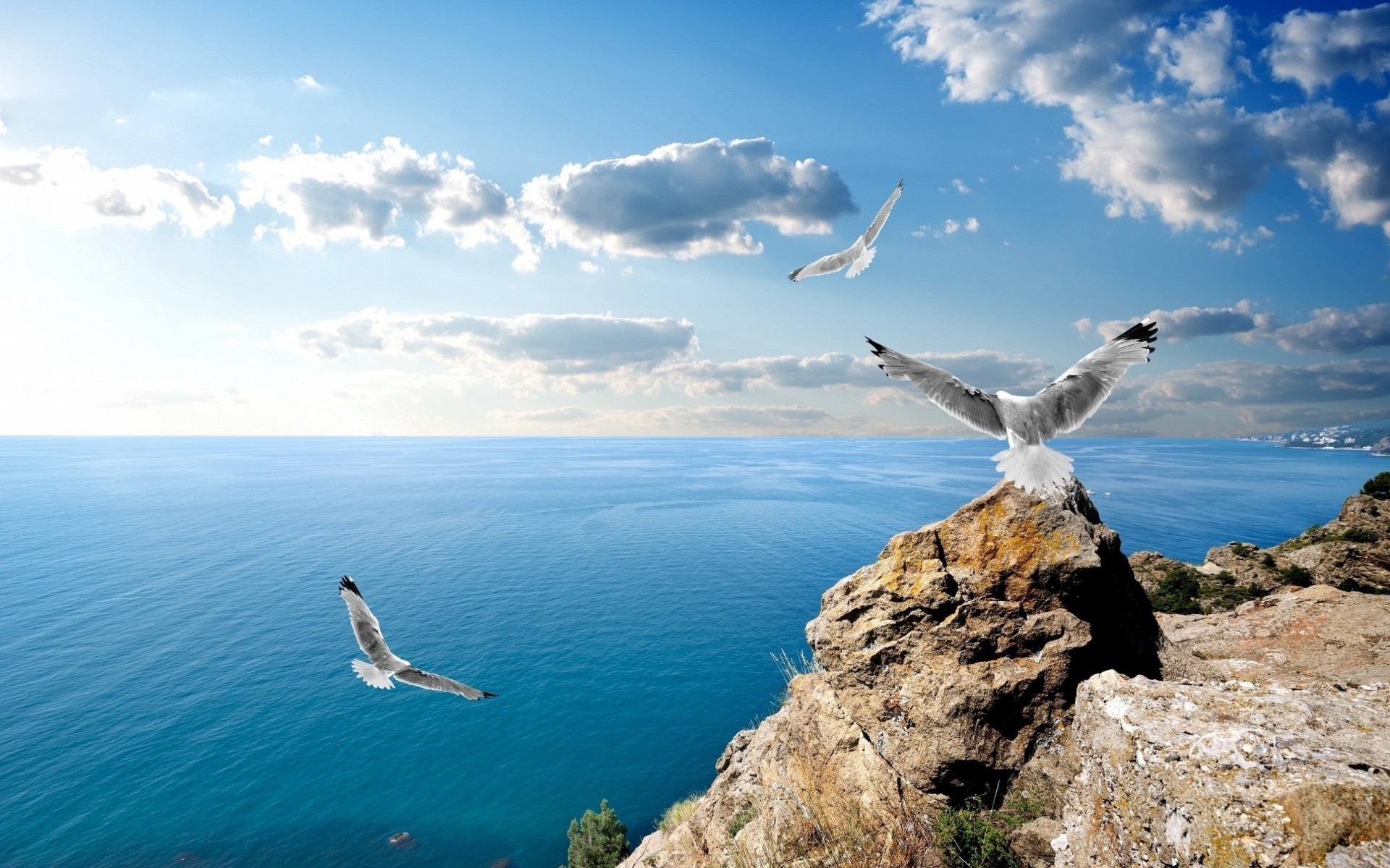 mer et océan eau mer ciel nature liberté voyage été océan à l extérieur mer mouettes plage oiseau soleil paysage