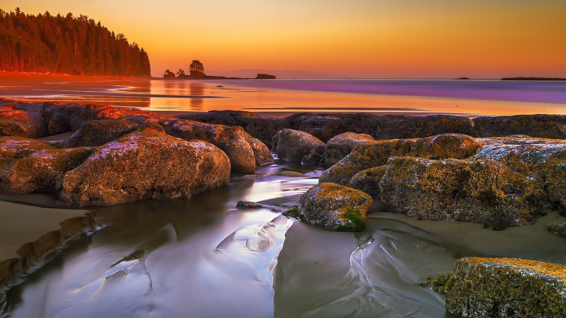 sea and ocean water sunset seashore evening sea ocean rock travel landscape beach dawn seascape sky dusk scenic