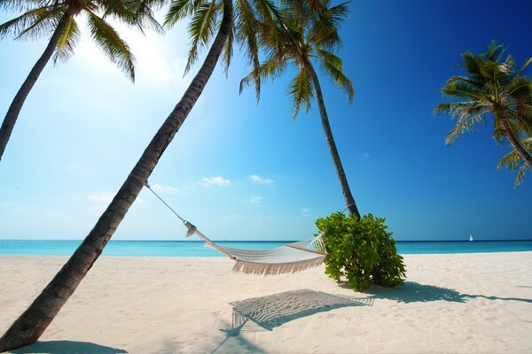 Hamac sur la plage tropicale