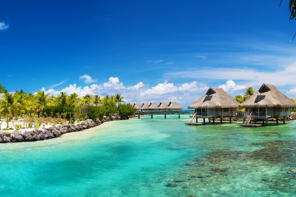 Station tropicale avec plage et océan