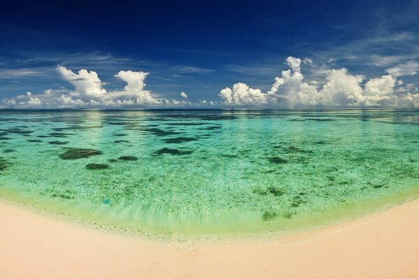 In the fraction of a cloud, and near the water palm