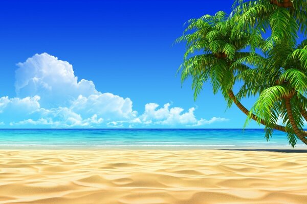 Plaża, niebo, morze i palmy, romans