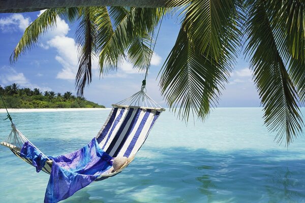 Paradiso tropicale tra le palme