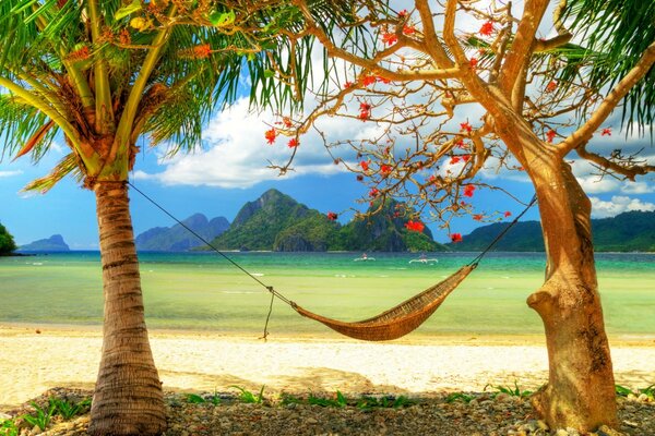 Hammock between two palm trees on the background of mountains