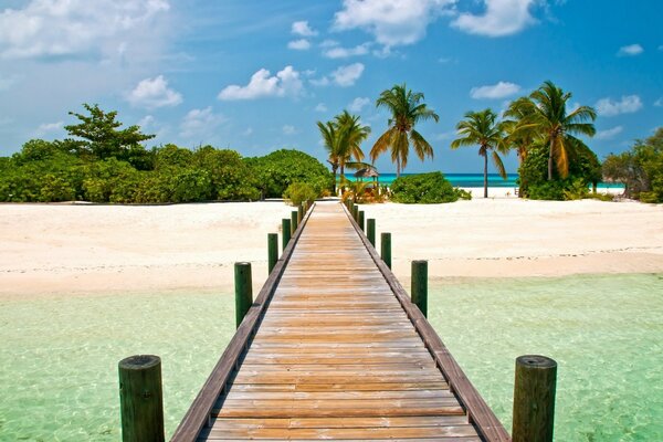 Azurblaues Meer und hohe Palmen, was könnte besser sein