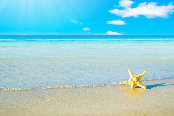 Estrela amarela no mar na areia