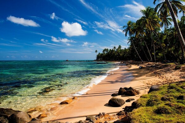 The shadow of palm trees on the ocean