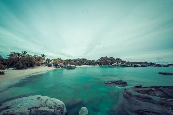 Viagem aos cantos inexplorados do oceano