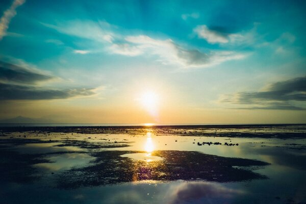 Dawn rays on the seashore