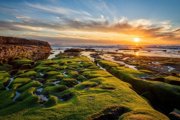 Paysage marin avec beau coucher de soleil