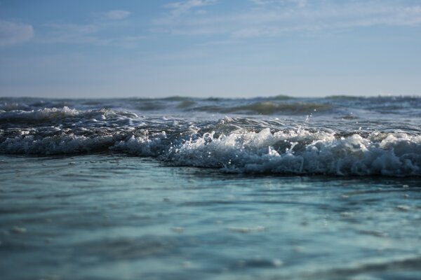 Belle photo des vagues