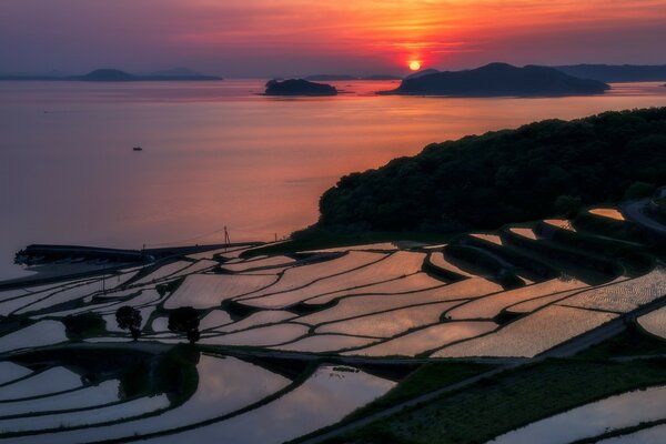 Purpurroter Sonnenuntergang über der Wasseroberfläche