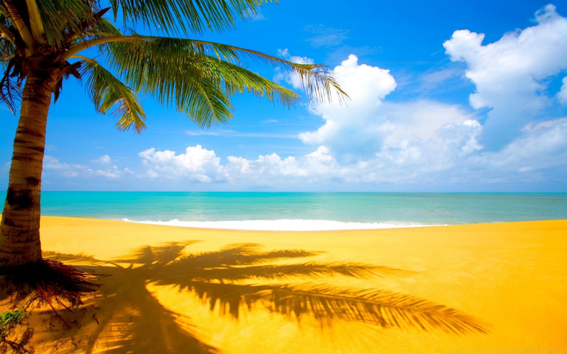 mer et océan tropical plage sable exotique mer soleil voyage île eau paysage été océan palm idyllique détente paradis vacances station balnéaire surf