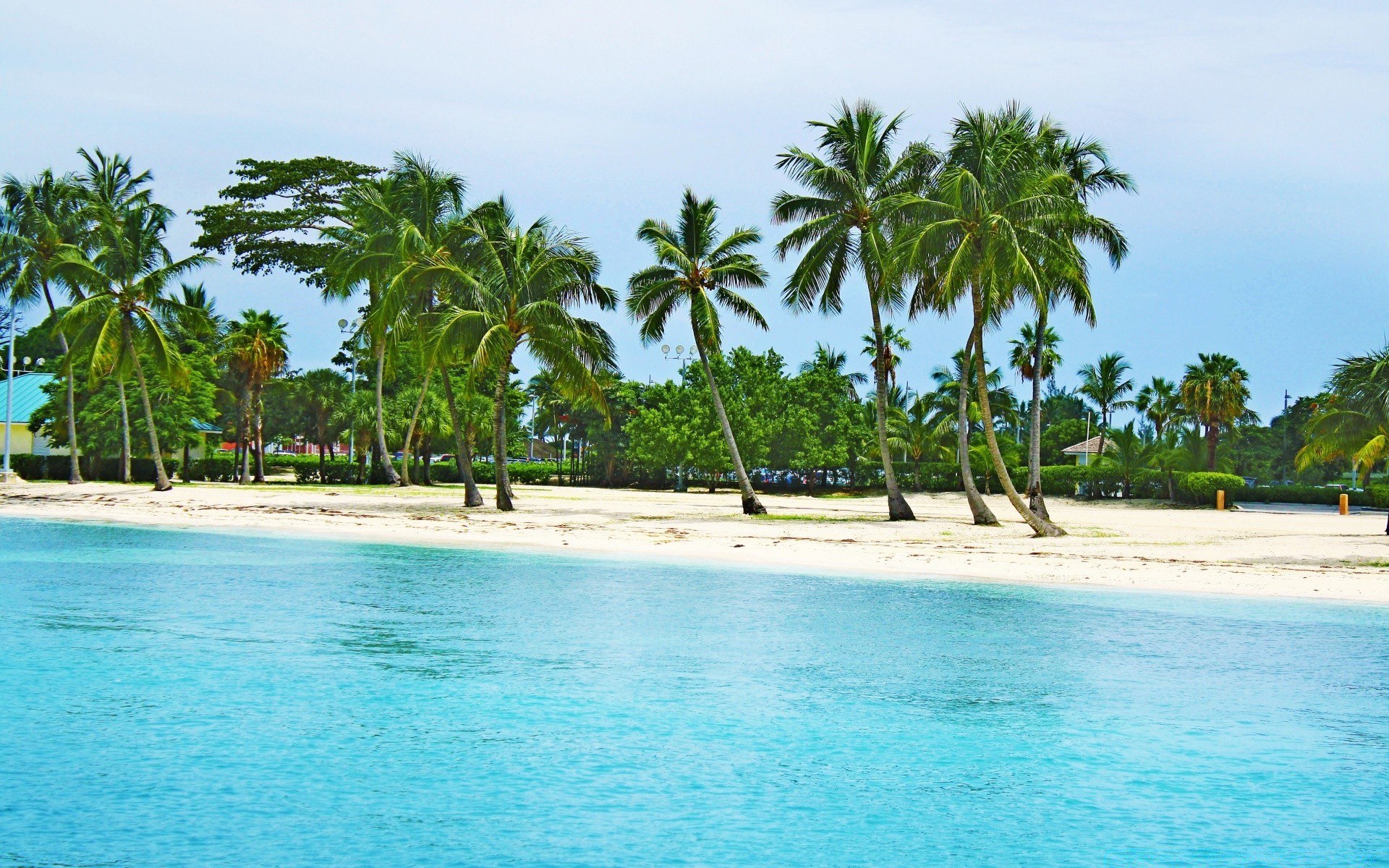 mare e oceano tropicale spiaggia palme resort sabbia paradiso isola cocco idillio vacanza esotico oceano mare relax paesaggio estate viaggi laguna turchese acqua