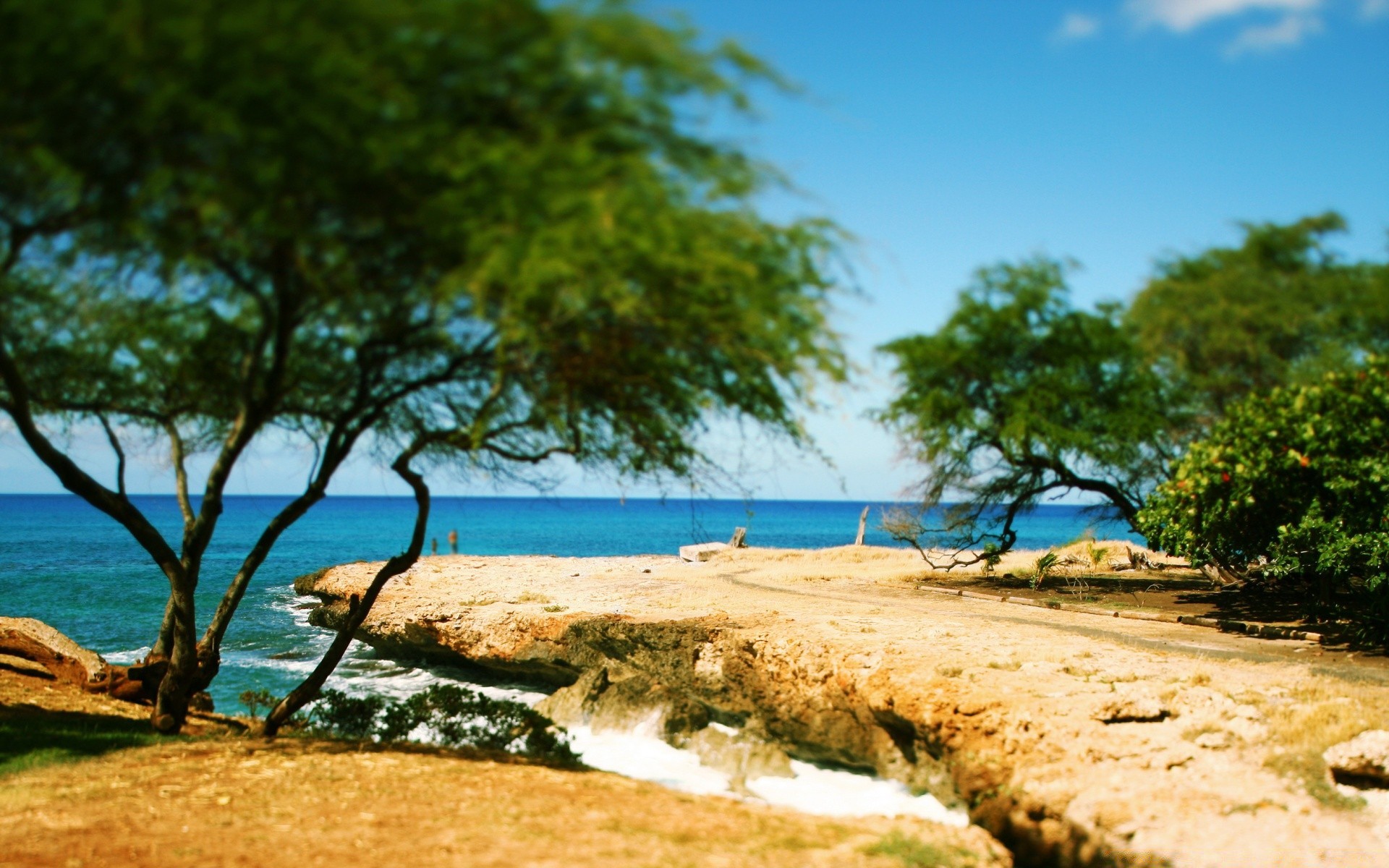 mare e oceano acqua albero natura spiaggia viaggi estate mare sabbia idillio mare tropicale bel tempo cielo paesaggio relax all aperto sole oceano