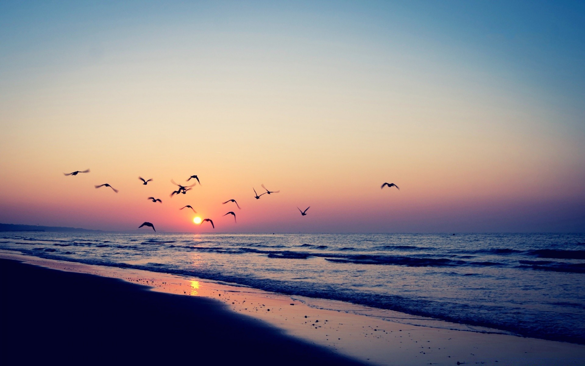 mare e oceano tramonto spiaggia acqua sole mare alba oceano cielo sera crepuscolo silhouette estate mare paesaggio bel tempo sabbia paesaggio