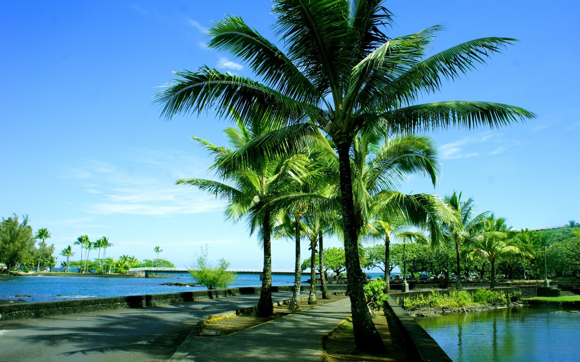 mar e oceano tropical praia viagens água palma verão árvore mar paraíso ilha coco férias areia resort oceano lagoa céu exóticas