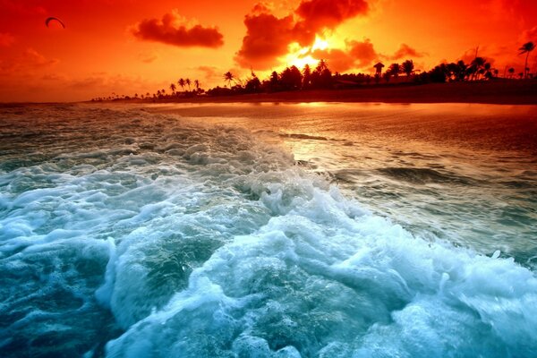 Las olas del mar contra los árboles y la puesta de sol