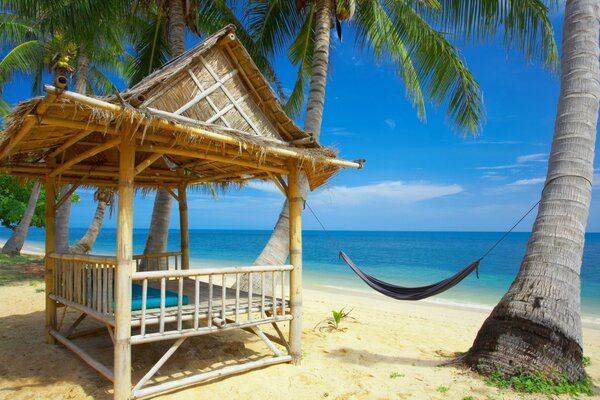 Urlaub im Resort in einer Hängematte am Meer oder Meer. Palme