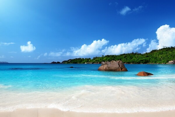 A tropical island. ocean and sand