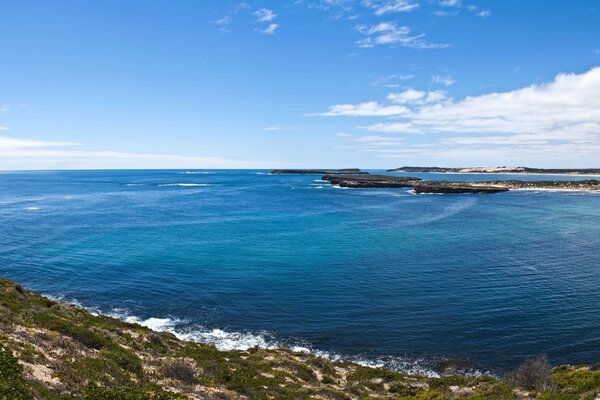 Now I m going to swim in the sea, I hope I won t stumble upon a jellyfish