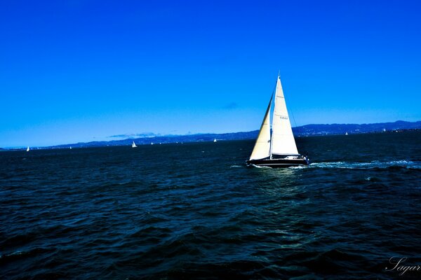 A small sailboat storming the sea breeze