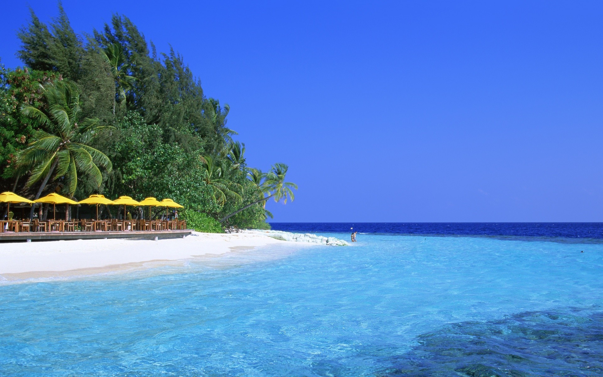 meer und ozean tropisch idylle insel reisen strand meer wasser exotisch urlaub ozean sand türkis resort landschaft paradies sommer entspannung baum palmen