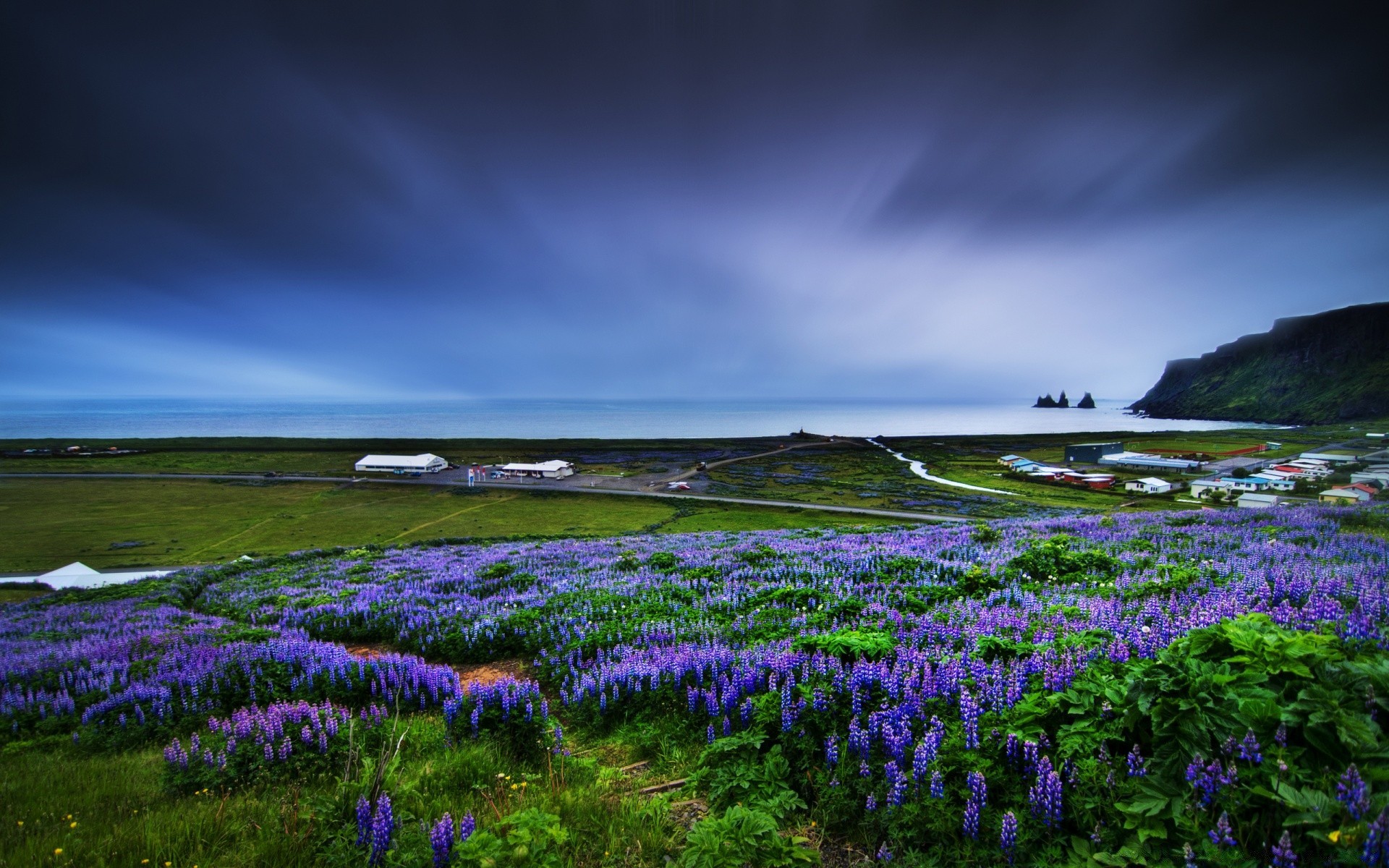 mar y océano paisaje flor heno naturaleza campo al aire libre hierba escénico cielo pastizales rural flora y fauna campo puesta del sol verano amanecer montañas color viajes