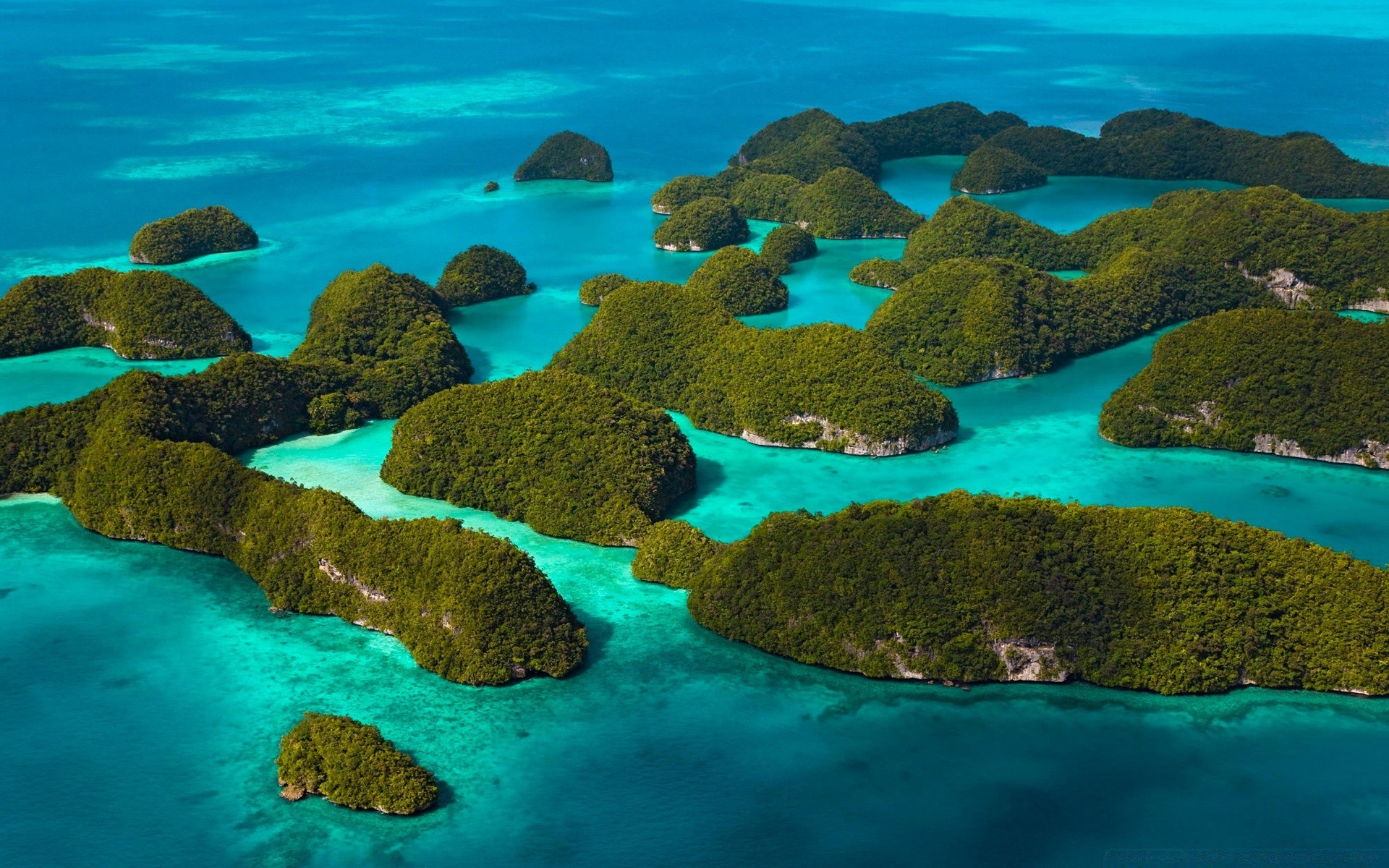 meer und ozean wasser unterwasser ozean reisen meer landschaft tropisch riff korallen natur türkis landschaft insel meer