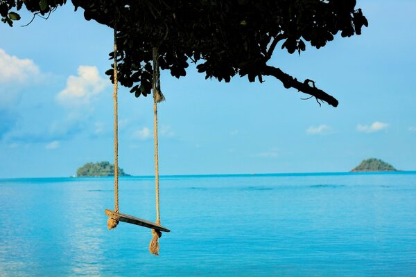 Rope swing on the background of the blue sea