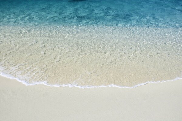 A strip of white sand and a blue ocean