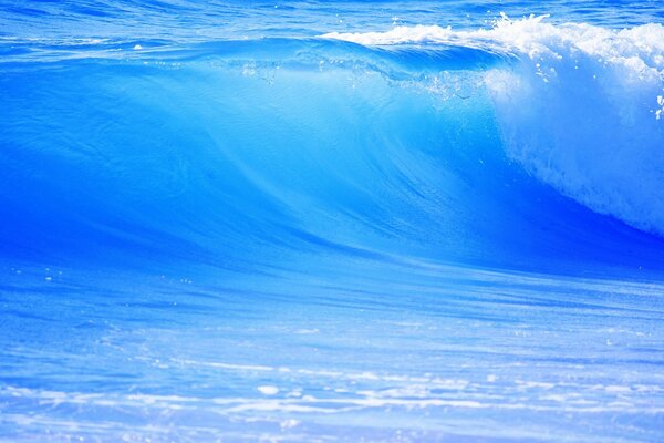 Océan bleu à l air frais