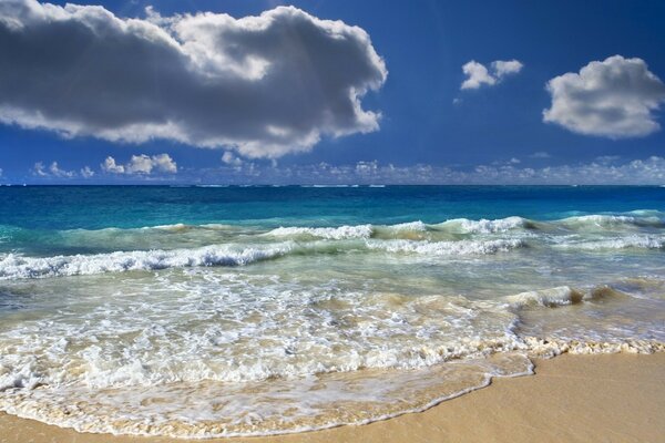 A wave runs over the sandy shore