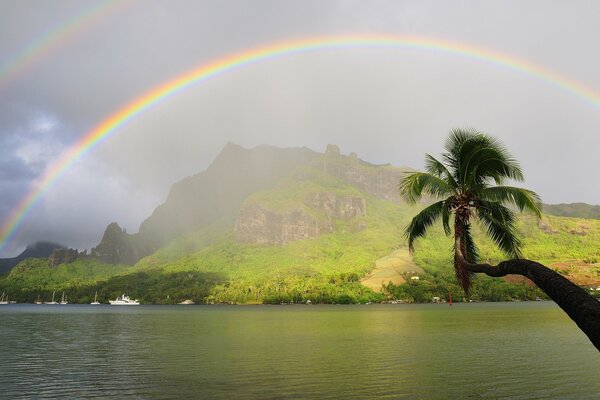 Double rainbow on the background of tropical mountains and palm trees