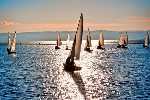 A lot of sailboats in the water reflecting the sunset